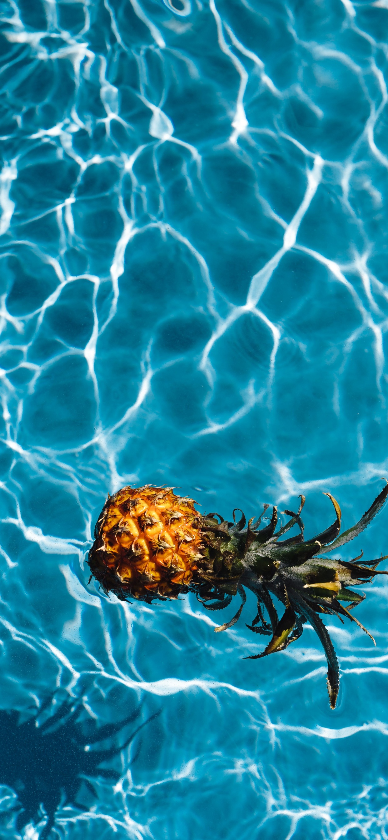 Braune Und Grüne Ananas, Die Auf Wasser Schwimmt. Wallpaper in 1242x2688 Resolution