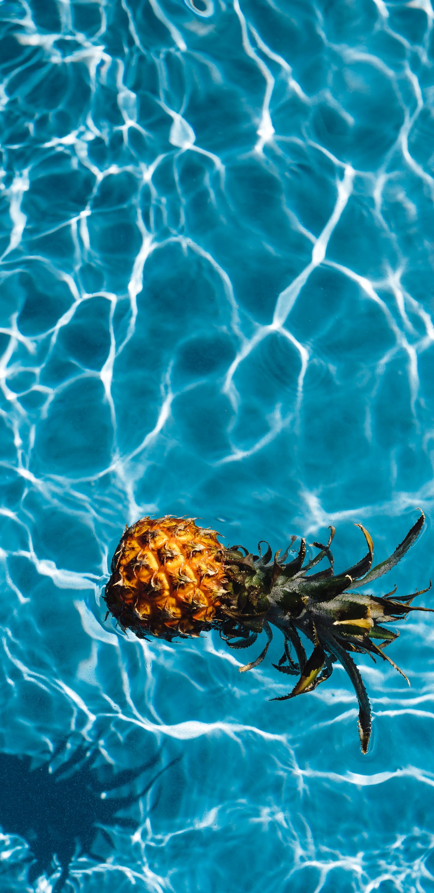 Brown and Green Pineapple Floating on Water. Wallpaper in 1440x2960 Resolution