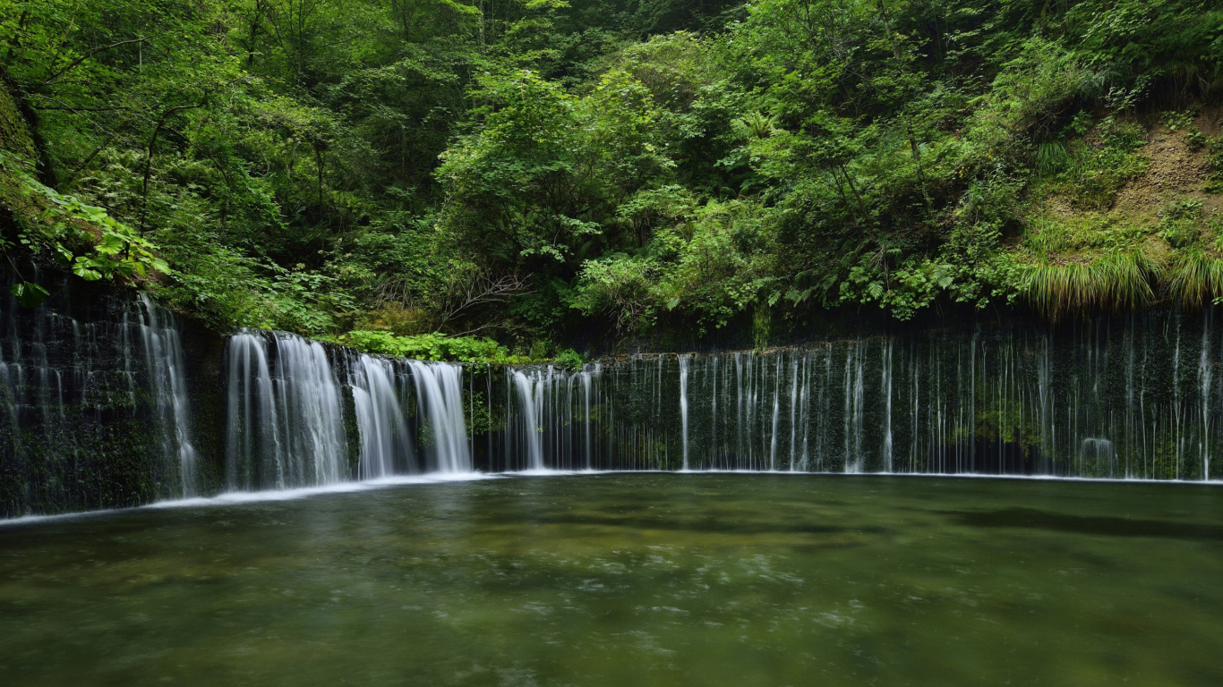 Cascadas en Medio de Árboles Verdes. Wallpaper in 1366x768 Resolution