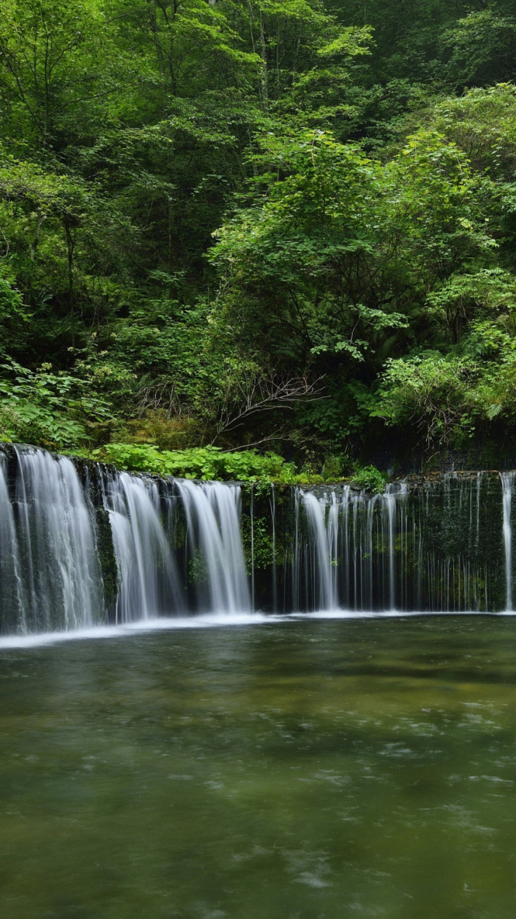 Cascadas en Medio de Árboles Verdes. Wallpaper in 750x1334 Resolution
