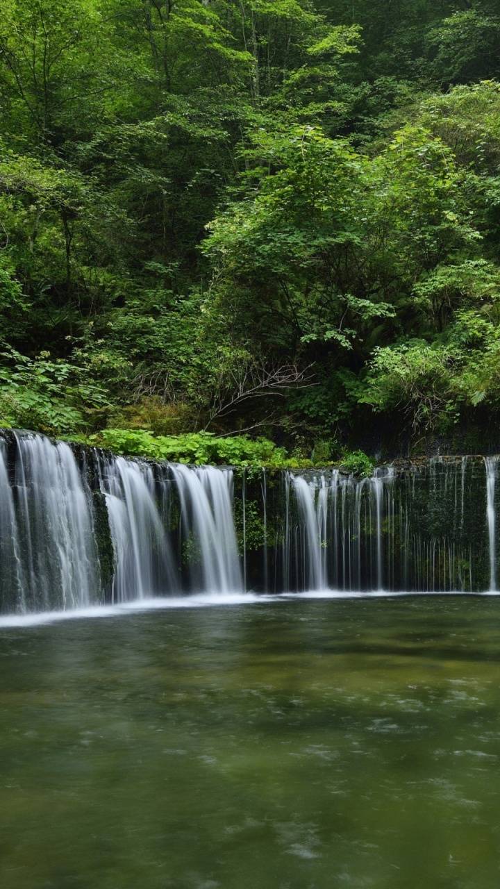 Waterfalls in The Middle of Green Trees. Wallpaper in 720x1280 Resolution