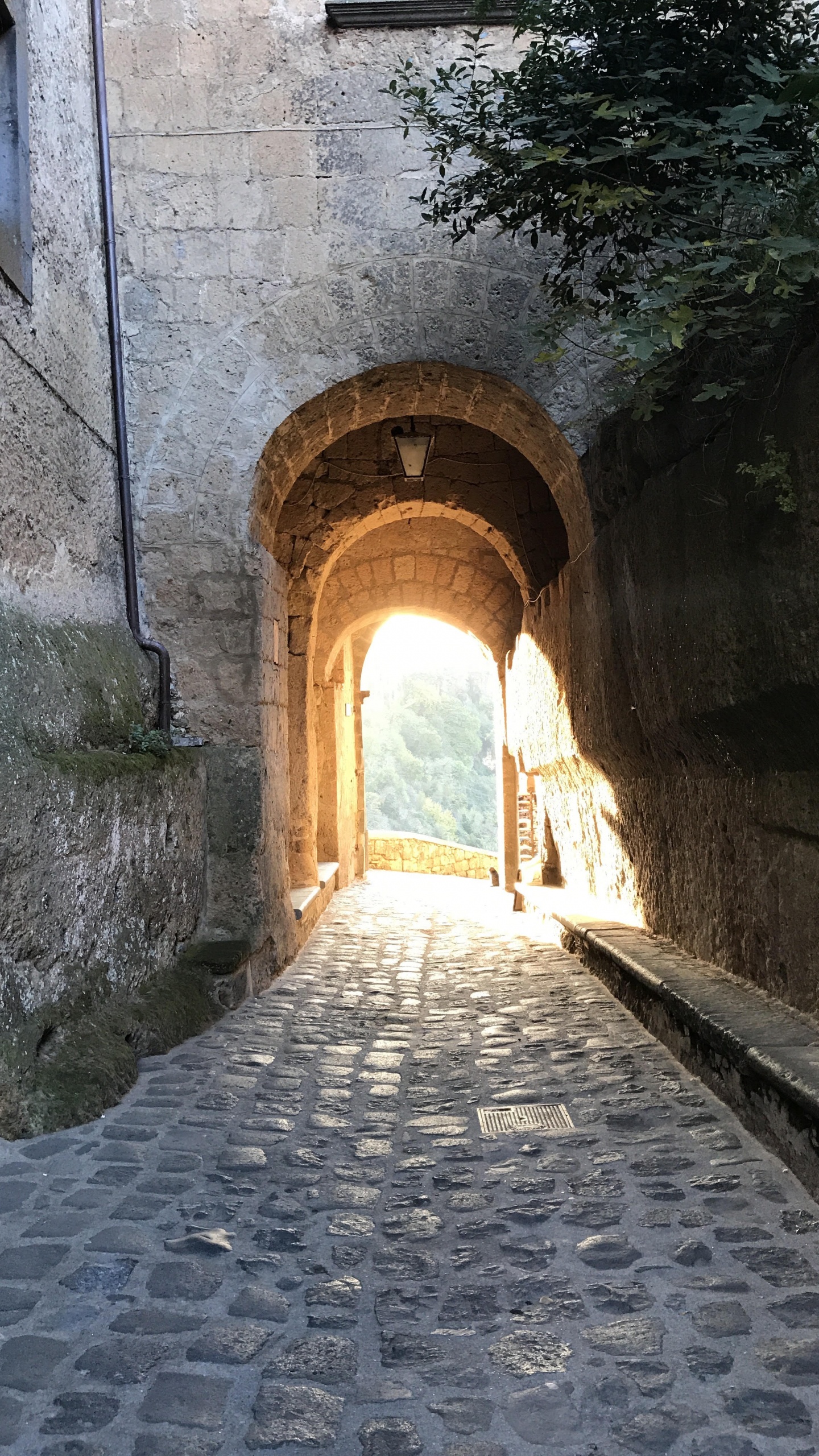Couloir en Béton Gris Avec Des Fenêtres en Forme D'arc. Wallpaper in 1440x2560 Resolution