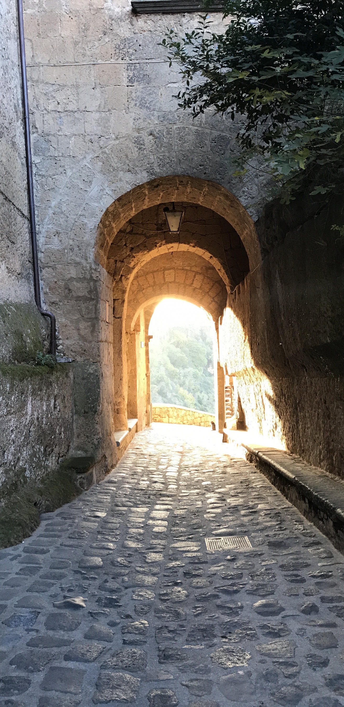 Couloir en Béton Gris Avec Des Fenêtres en Forme D'arc. Wallpaper in 1440x2960 Resolution