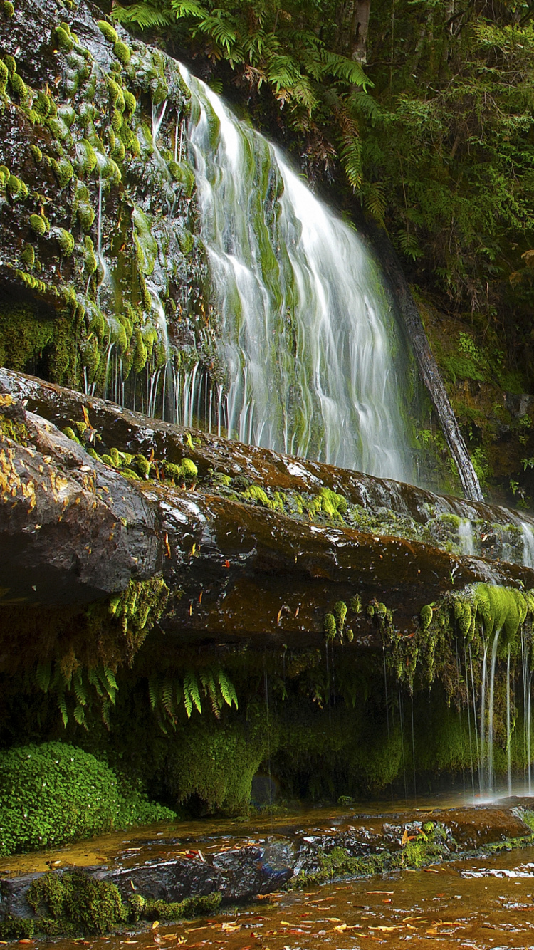 Wasser Fällt Auf Braunen Felsen. Wallpaper in 750x1334 Resolution