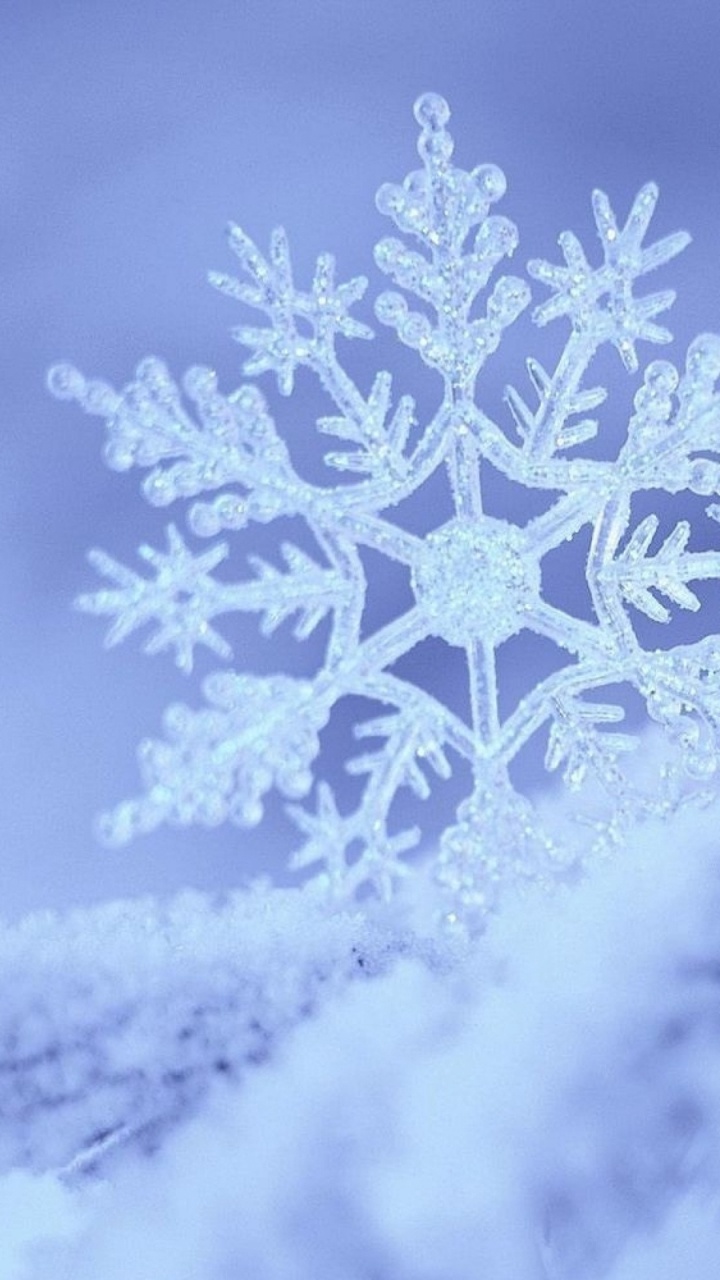 冬天, 冻结, 雪花, 天空, 松的家庭 壁纸 720x1280 允许