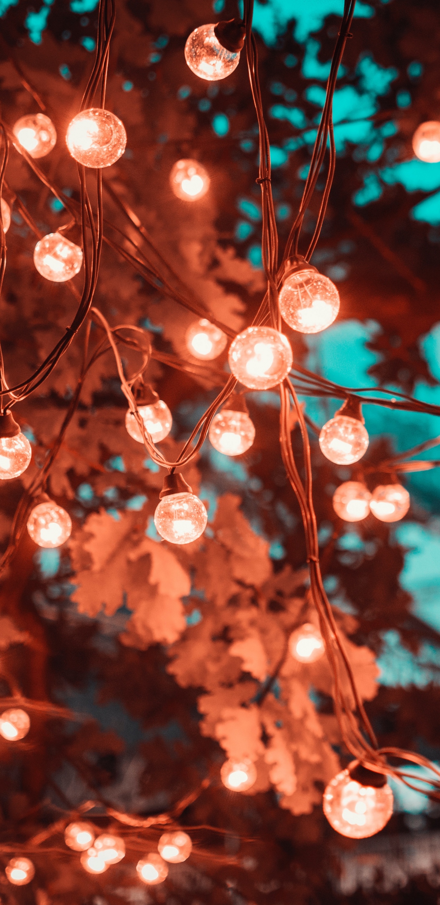 Weihnachtsbeleuchtung, Licht, Branch, Leuchtdiode, Glühlampe. Wallpaper in 1440x2960 Resolution