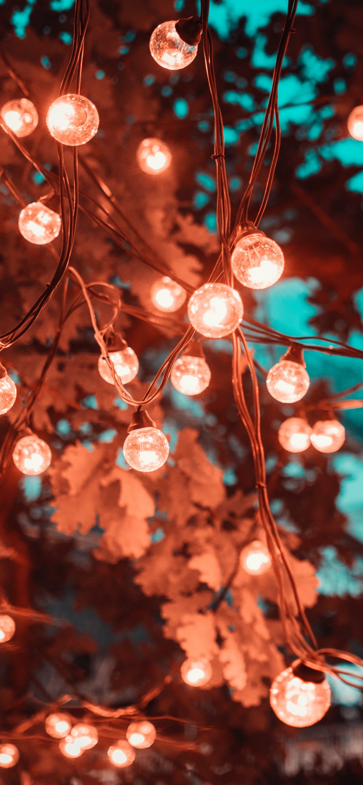 Lighting, Christmas Lights, Light, Branch, Lighting Red. Wallpaper in 1242x2688 Resolution