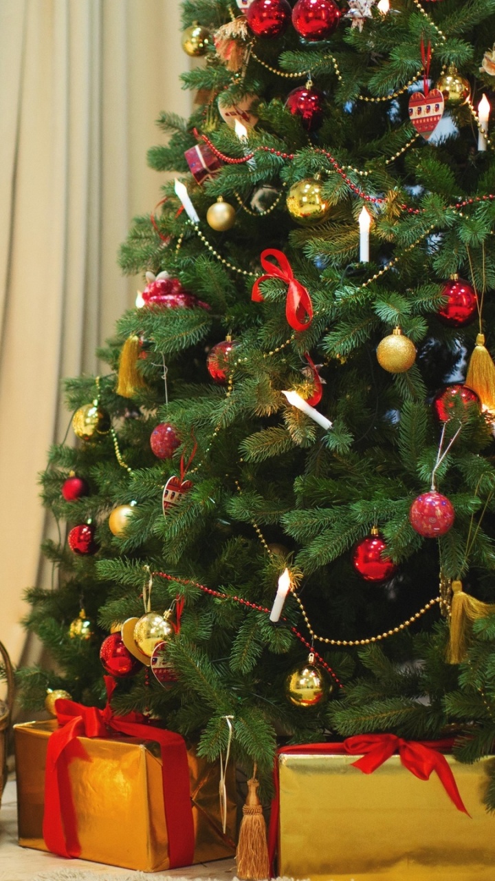 New Year Tree, Christmas Tree, Christmas Day, New Year, Holiday. Wallpaper in 720x1280 Resolution