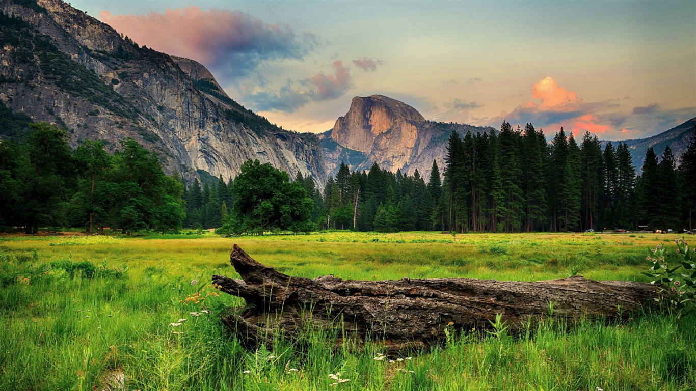 Brown Tree Log on Green Grass Field Near Mountain Under White Clouds During Daytime. Wallpaper in 1366x768 Resolution