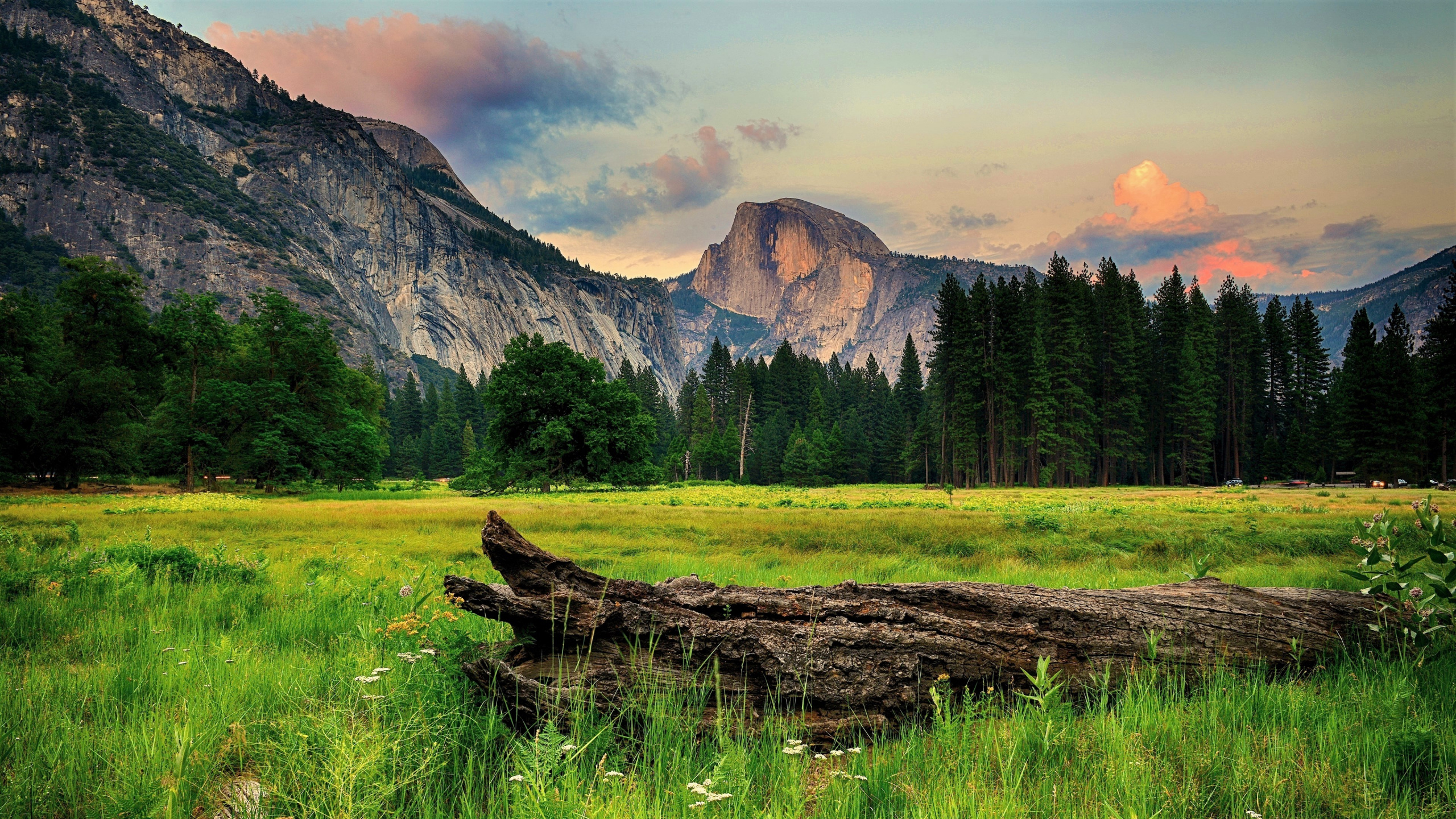 Brown Tree Log on Green Grass Field Near Mountain Under White Clouds During Daytime. Wallpaper in 2560x1440 Resolution