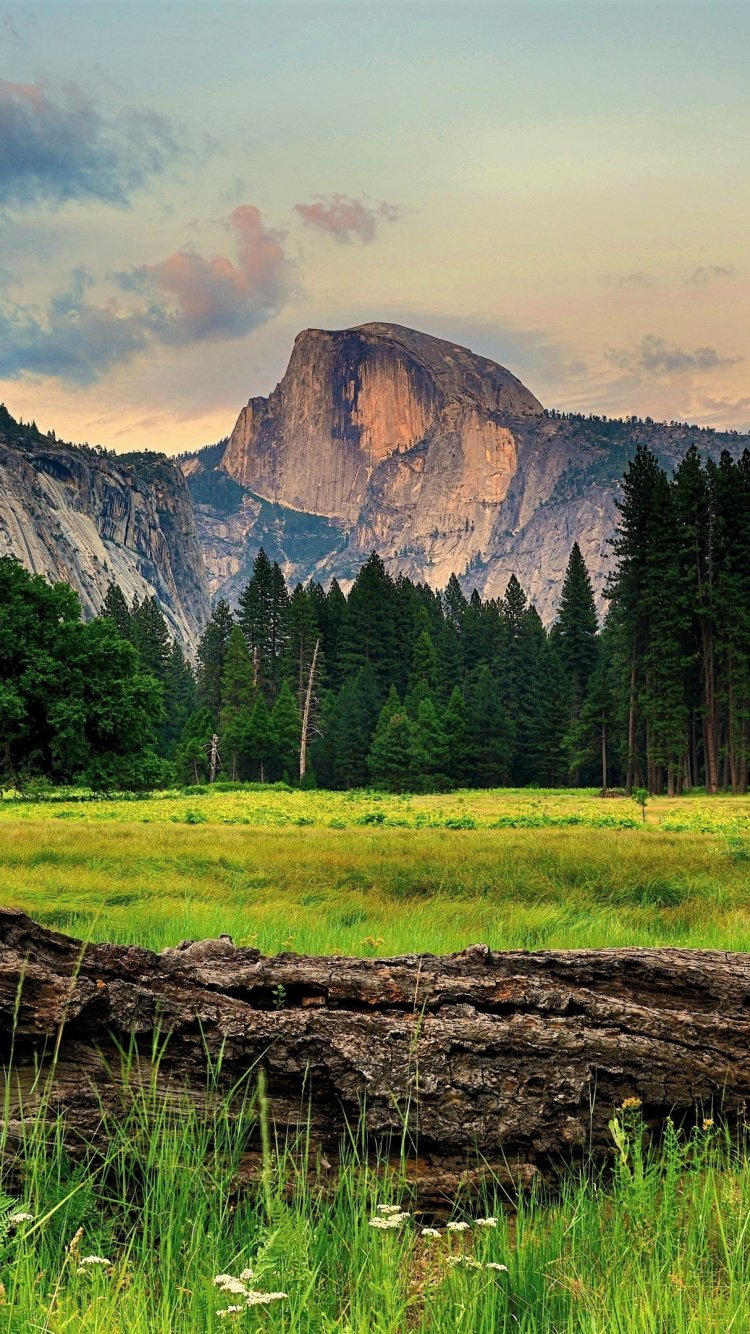 Brown Tree Log on Green Grass Field Near Mountain Under White Clouds During Daytime. Wallpaper in 750x1334 Resolution