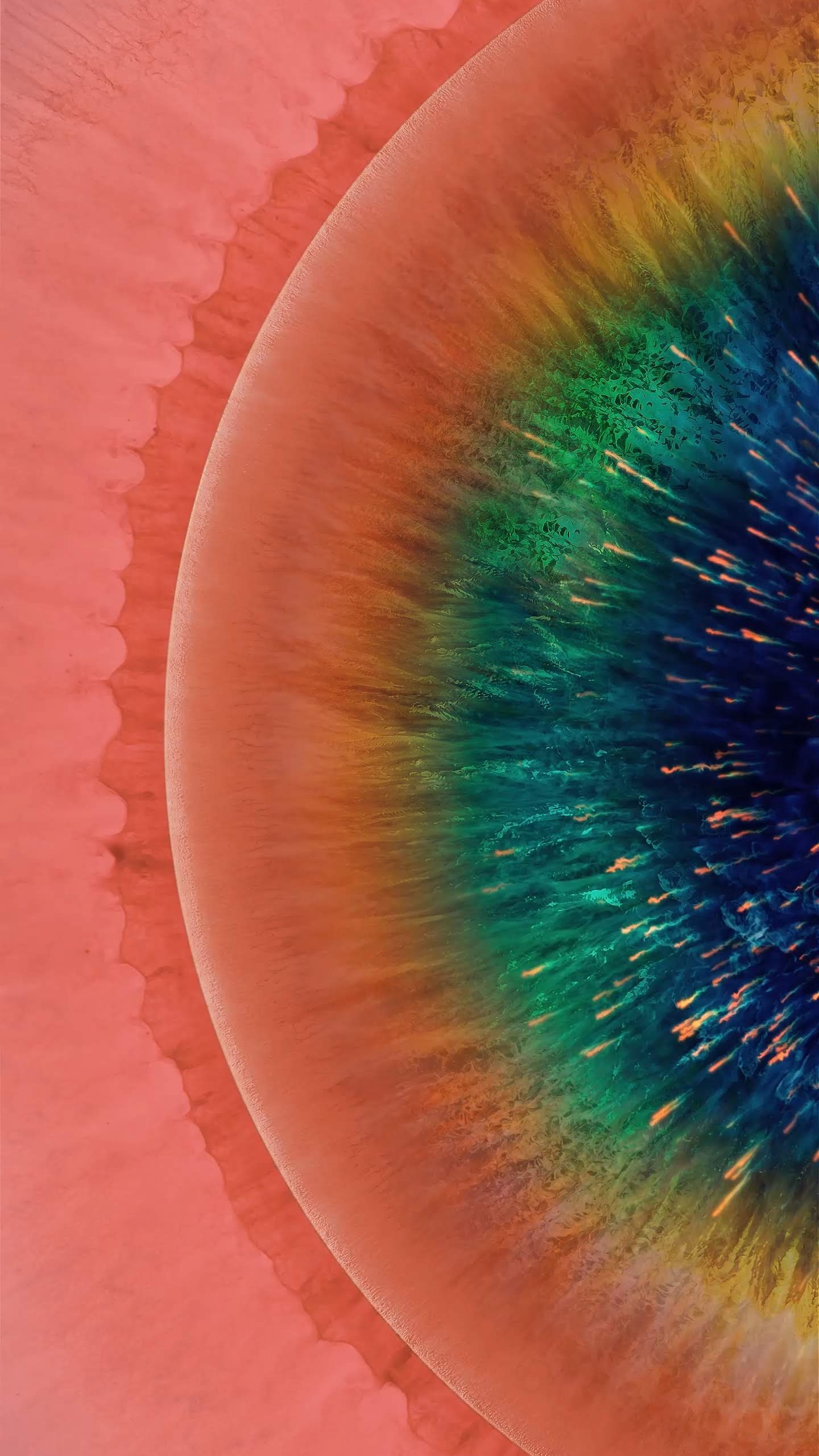 OPPO, OPPO Find X2, Oppo Find X, Oppo Trouver x2 Pro, Android. Wallpaper in 1440x2560 Resolution