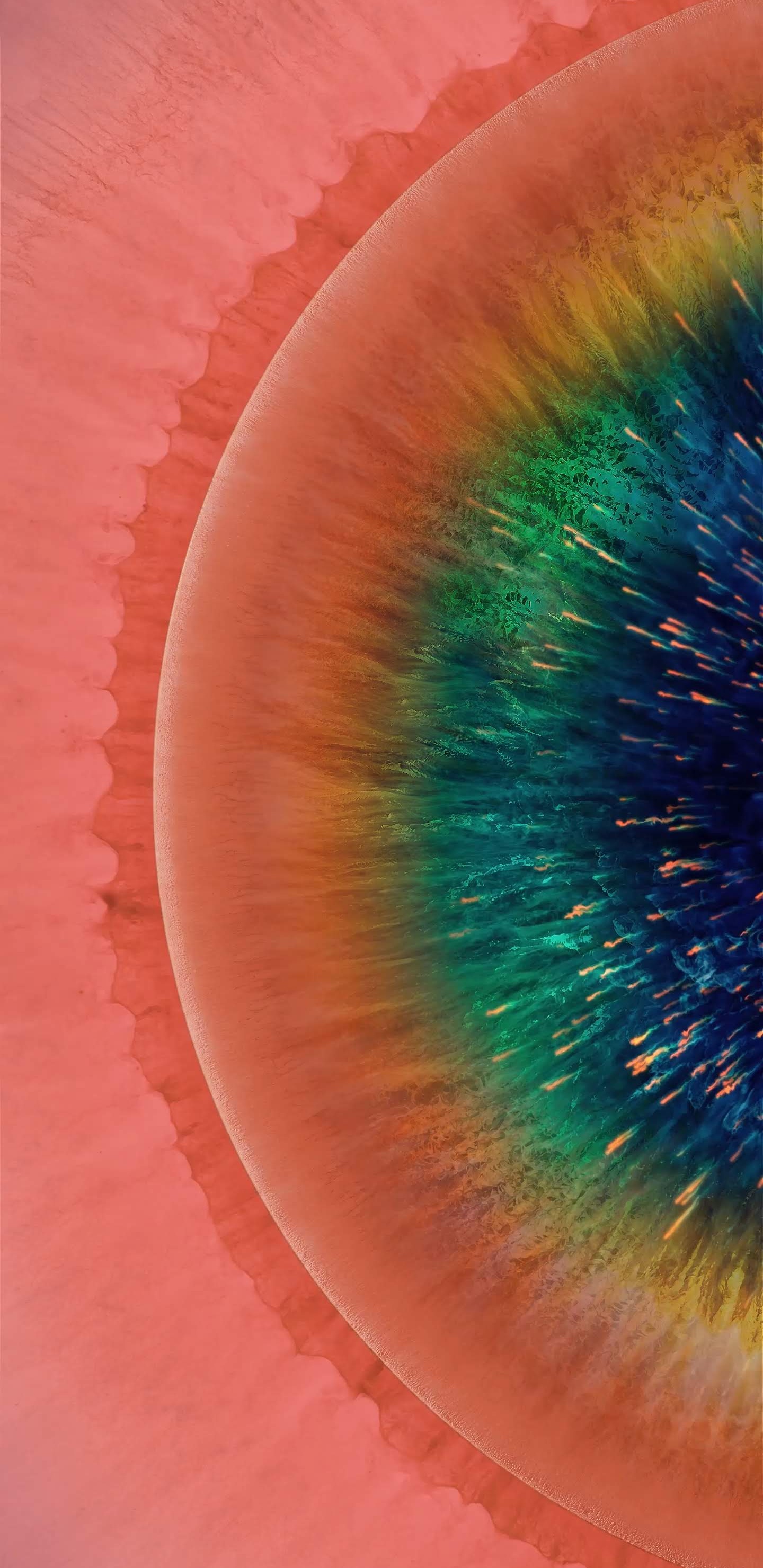 OPPO, OPPO Find X2, Oppo Find X, Oppo X2专业版, 安卓 壁纸 1440x2960 允许