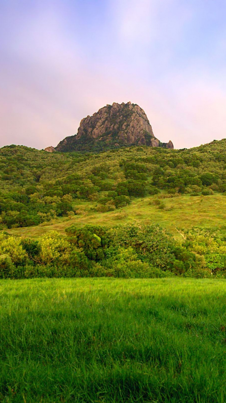 Campo de Hierba Verde Cerca de la Montaña Bajo un Cielo Nublado Durante el Día. Wallpaper in 750x1334 Resolution