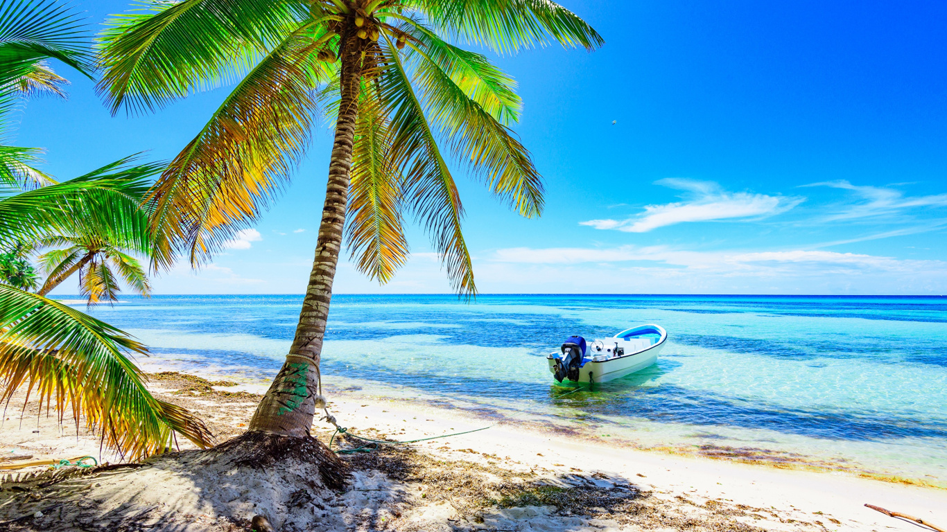 White and Blue Boat on Beach During Daytime. Wallpaper in 1366x768 Resolution