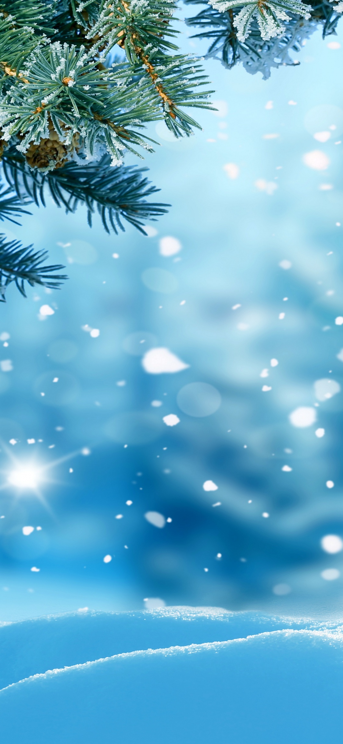 Pino Verde Cubierto de Nieve. Wallpaper in 1125x2436 Resolution