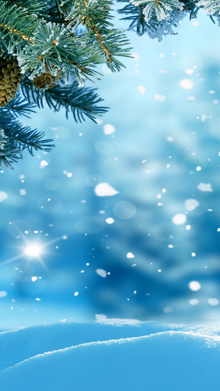 Green Pine Tree Covered With Snow. Wallpaper in 750x1334 Resolution