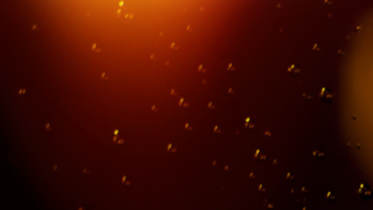 Lumière Jaune Sur Fond Noir. Wallpaper in 1280x720 Resolution