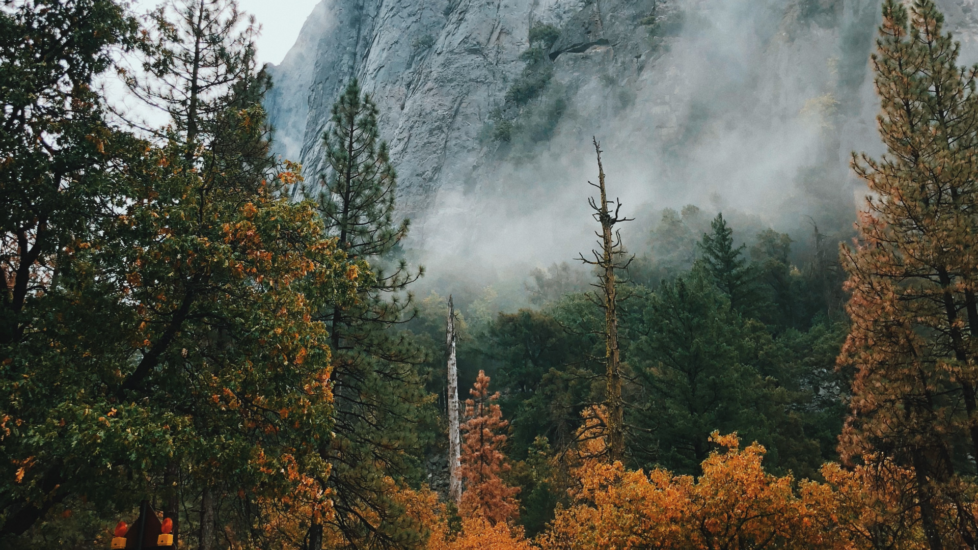 Natur, Nationalpark, Naturlandschaft, Baum, Bergigen Landschaftsformen. Wallpaper in 1920x1080 Resolution