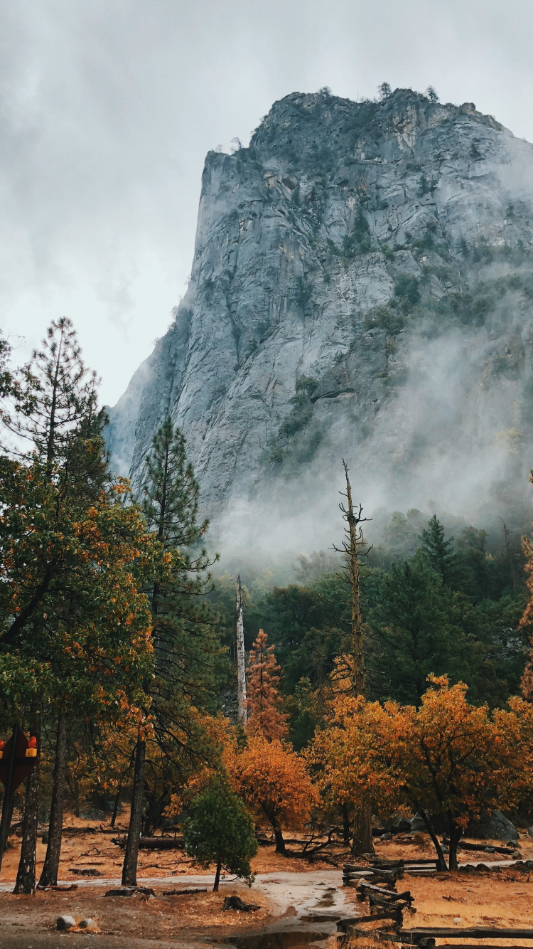 Nature, National Park, Natural Landscape, Tree, Mountainous Landforms. Wallpaper in 750x1334 Resolution