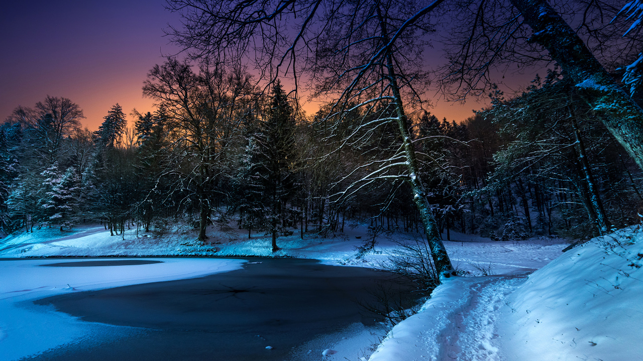 Brown Trees on Snow Covered Ground During Night Time. Wallpaper in 1280x720 Resolution