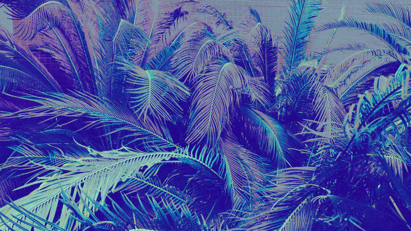 陆地上的植物, Evergreen, 草, 木本植物, 羽毛 壁纸 1366x768 允许