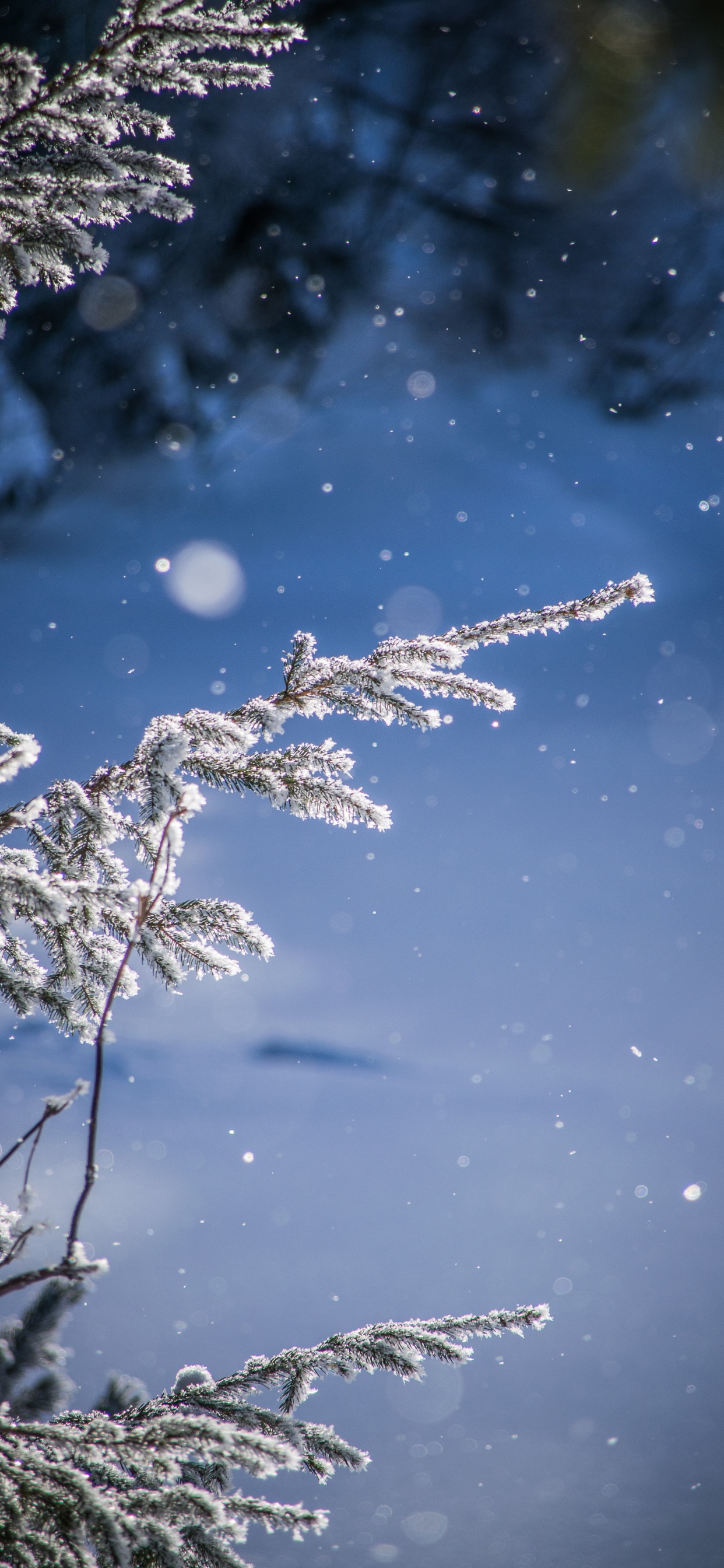 Snow, Winter, Water, Frost, Freezing. Wallpaper in 1242x2688 Resolution