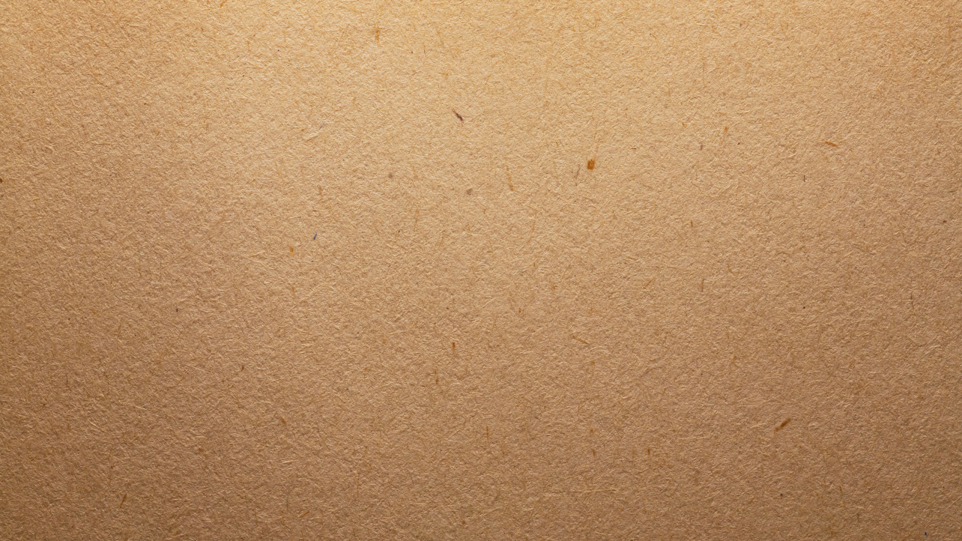 Person Mit Schwarzem Lederschuh. Wallpaper in 1920x1080 Resolution