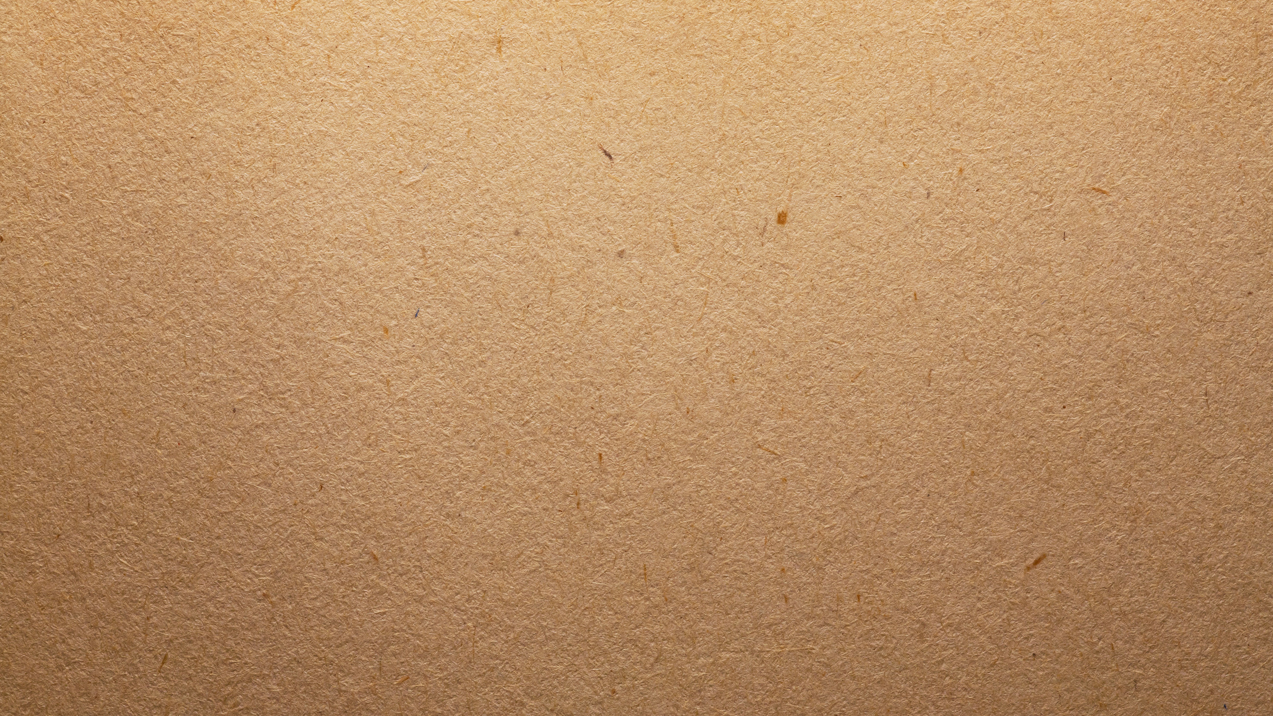 Person Mit Schwarzem Lederschuh. Wallpaper in 2560x1440 Resolution