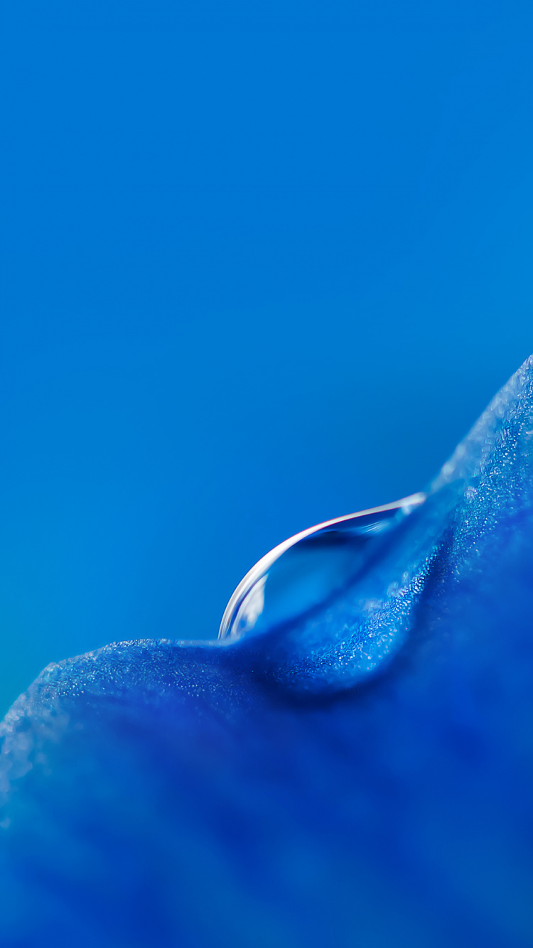 Xiaomi, Xiaomi Redmi K20 Pro, Xiaomi mi 9, Xiaomi mi 9 Se, Xiaomi mi 9t. Wallpaper in 750x1334 Resolution