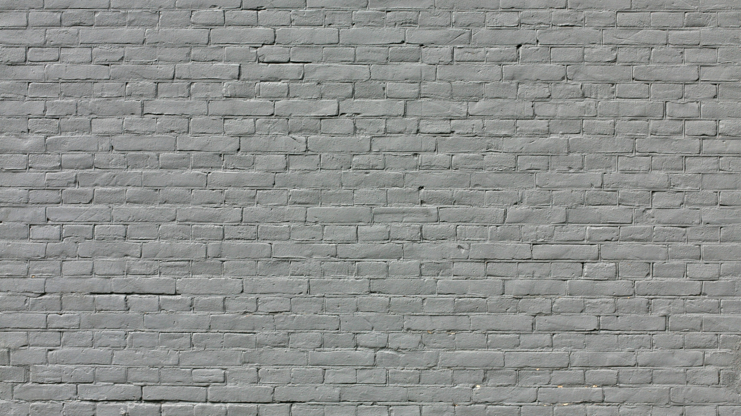 Mur de Briques Grises et Noires. Wallpaper in 2560x1440 Resolution