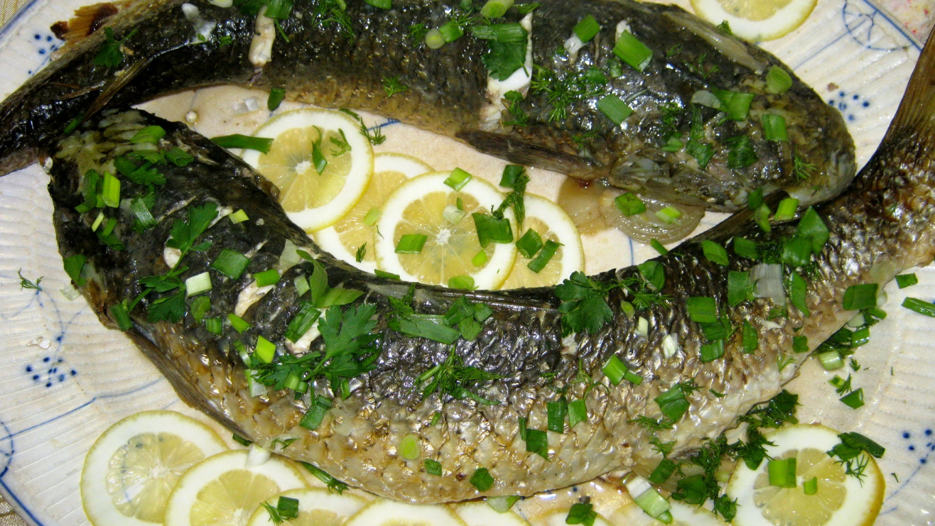 Assiette Ronde Blanche Sur Tronc D'arbre Vert et Noir. Wallpaper in 1366x768 Resolution