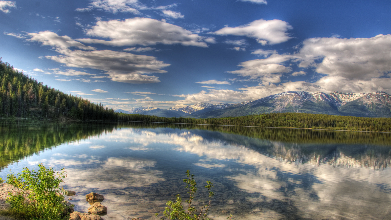 Green Trees Near Lake Under Blue Sky During Daytime. Wallpaper in 1366x768 Resolution