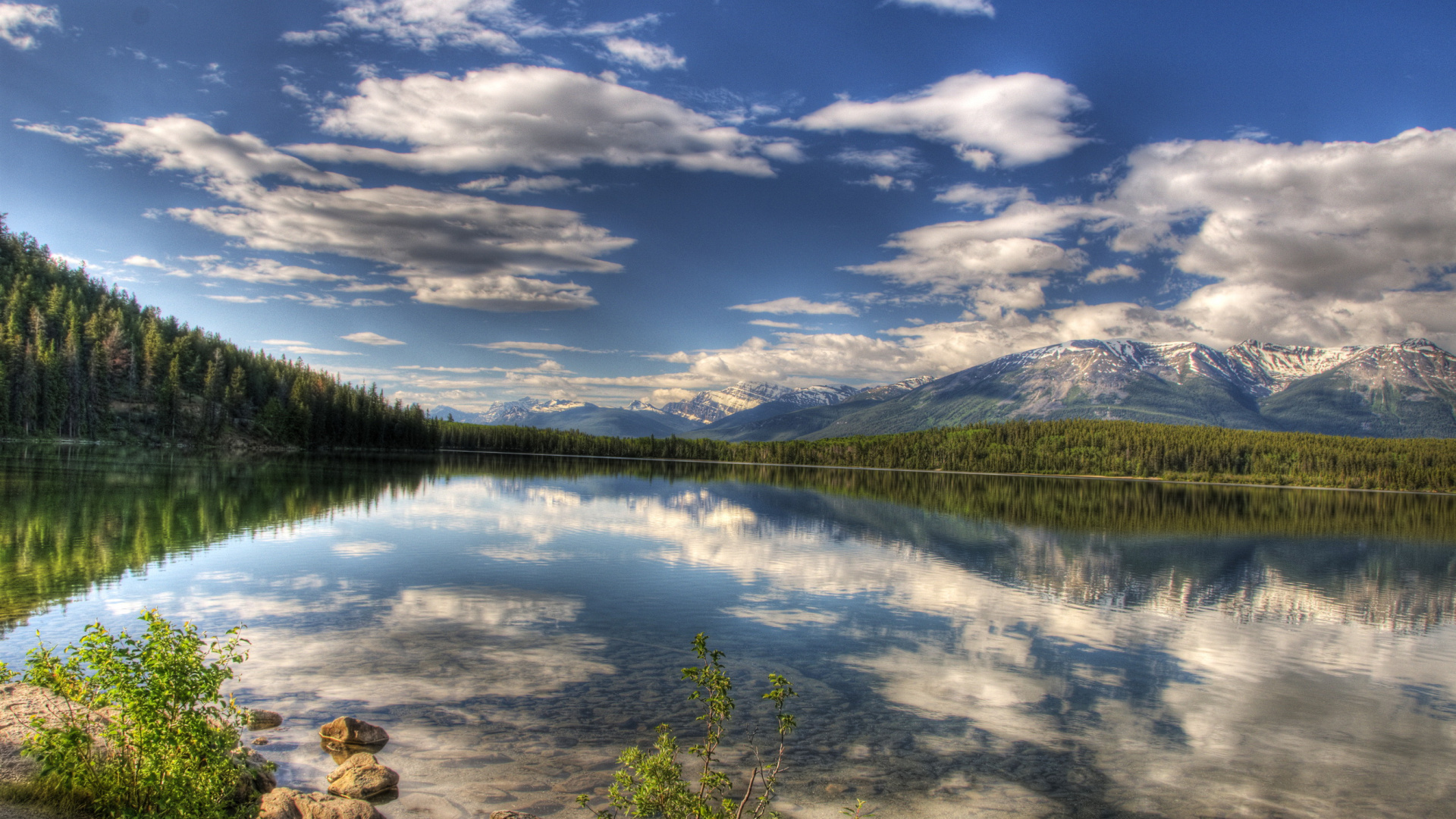 Green Trees Near Lake Under Blue Sky During Daytime. Wallpaper in 1920x1080 Resolution