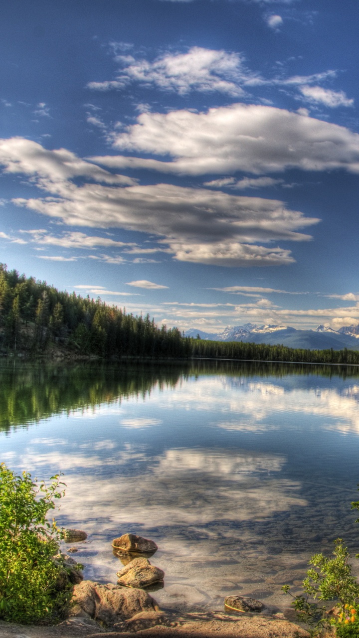 Green Trees Near Lake Under Blue Sky During Daytime. Wallpaper in 720x1280 Resolution