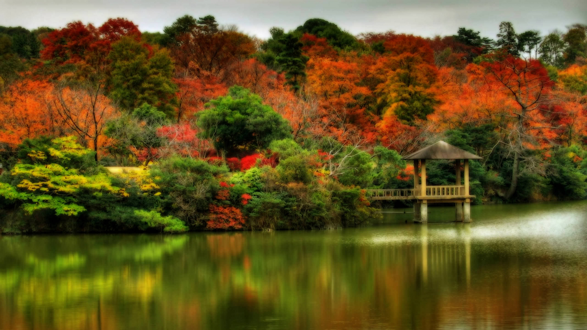 反射, 性质, 植被, 人体内的水, 秋天的叶的颜色 壁纸 1920x1080 允许