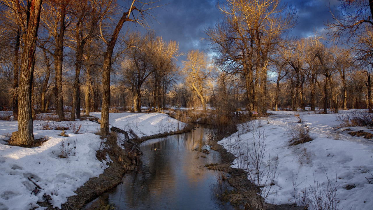 Brown Trees Near River Under Blue Sky During Daytime. Wallpaper in 1280x720 Resolution