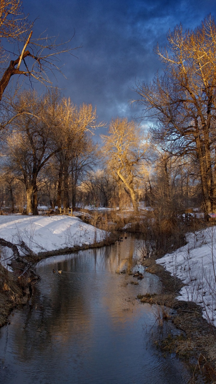 Brown Trees Near River Under Blue Sky During Daytime. Wallpaper in 720x1280 Resolution