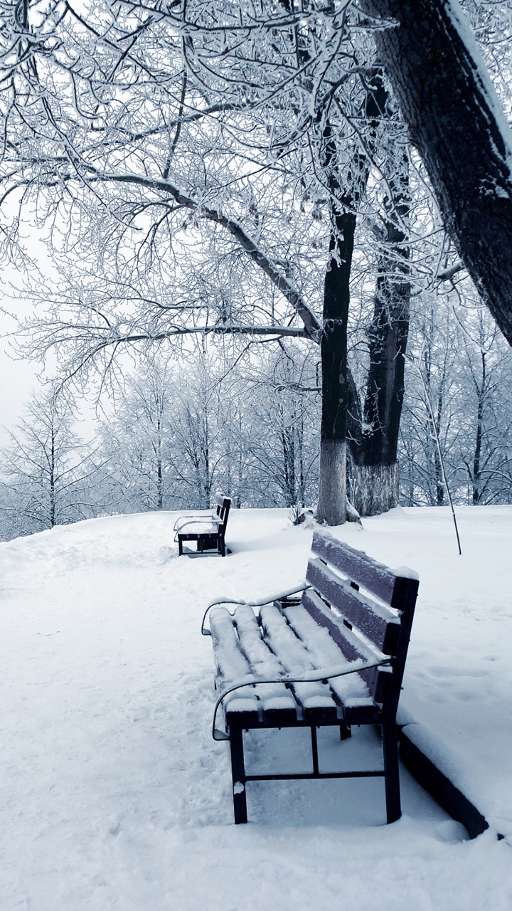 Braune Holzbank Auf Schneebedecktem Boden. Wallpaper in 720x1280 Resolution