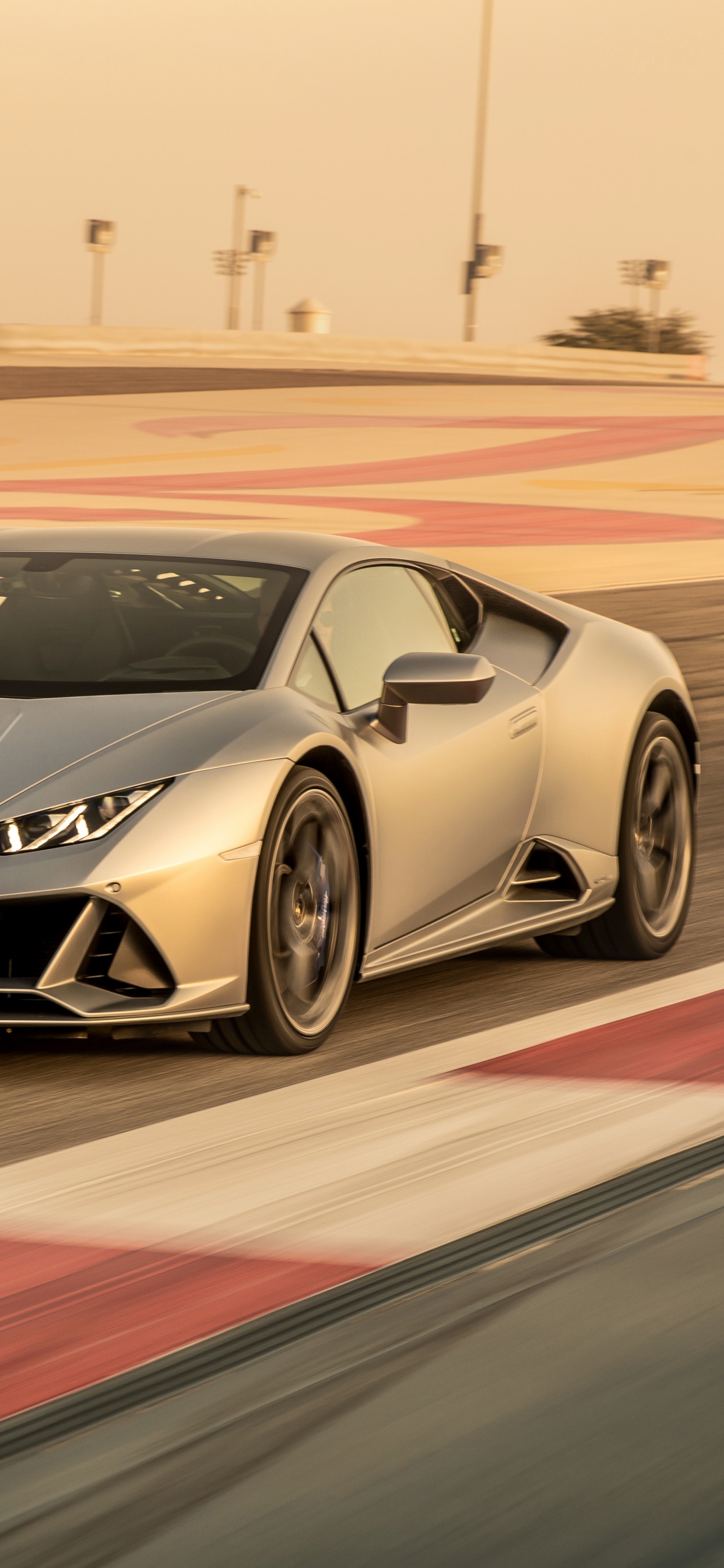 Porsche 911 Blanco y Negro en el Campo de la Pista. Wallpaper in 1242x2688 Resolution