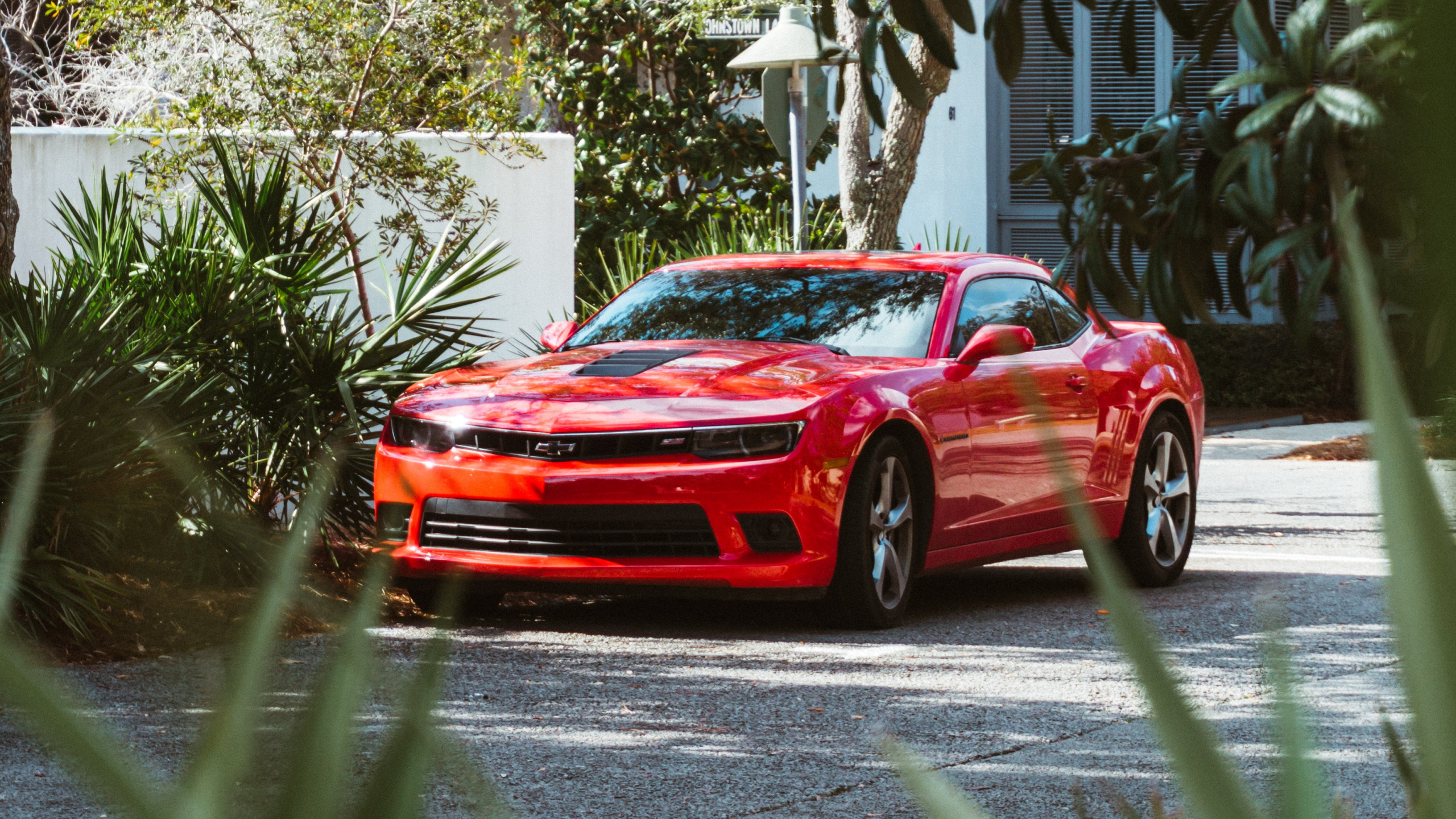 Chevrolet Camaro Rojo Estacionado Cerca de Green Tree Durante el Día. Wallpaper in 2560x1440 Resolution