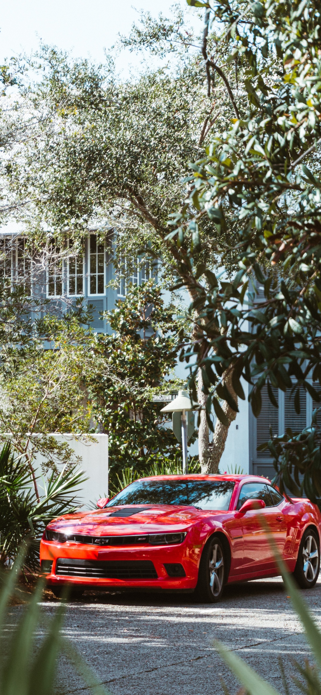Red Chevrolet Camaro Parked Near Green Tree During Daytime. Wallpaper in 1125x2436 Resolution