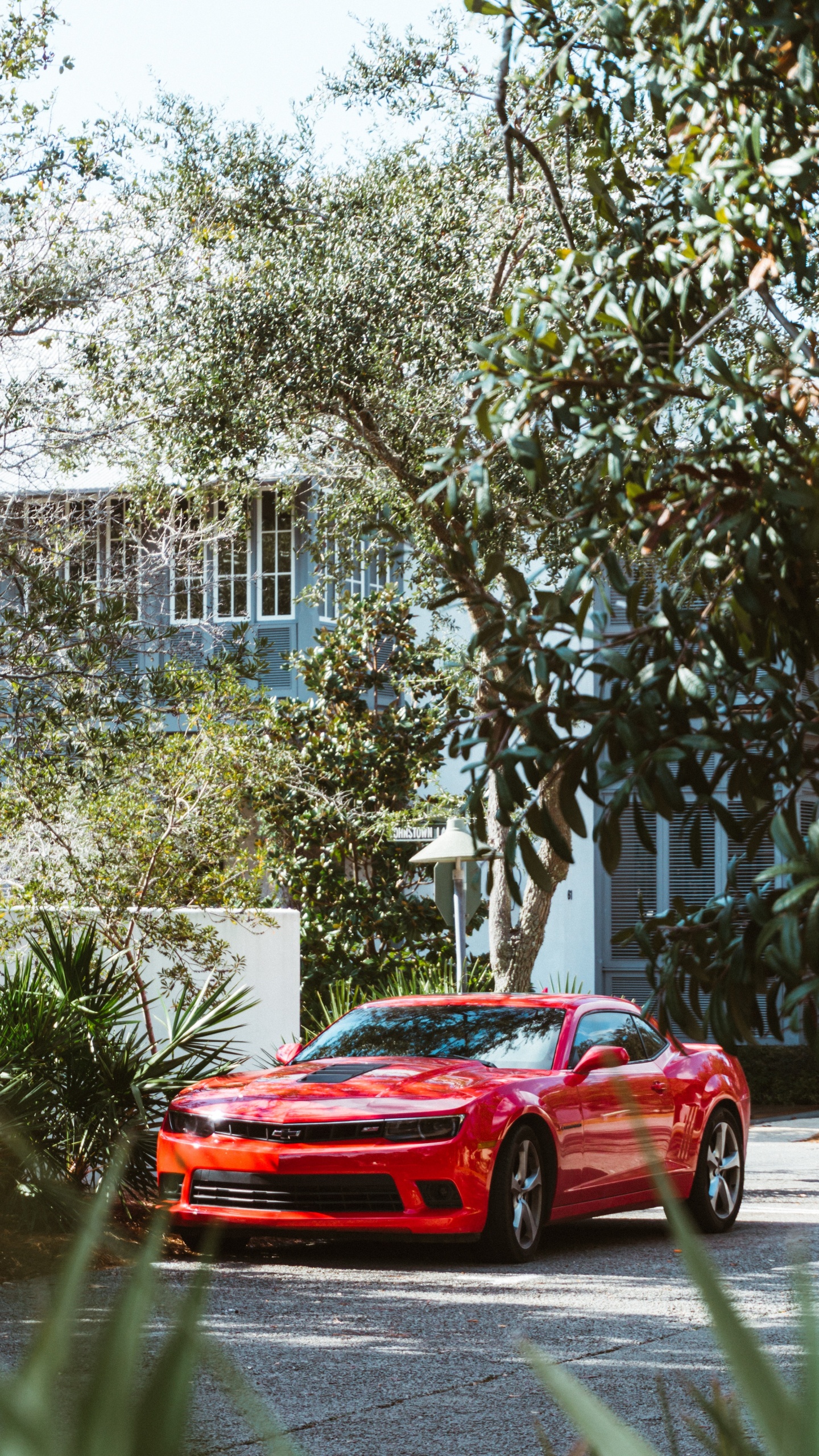 Red Chevrolet Camaro Parked Near Green Tree During Daytime. Wallpaper in 1440x2560 Resolution