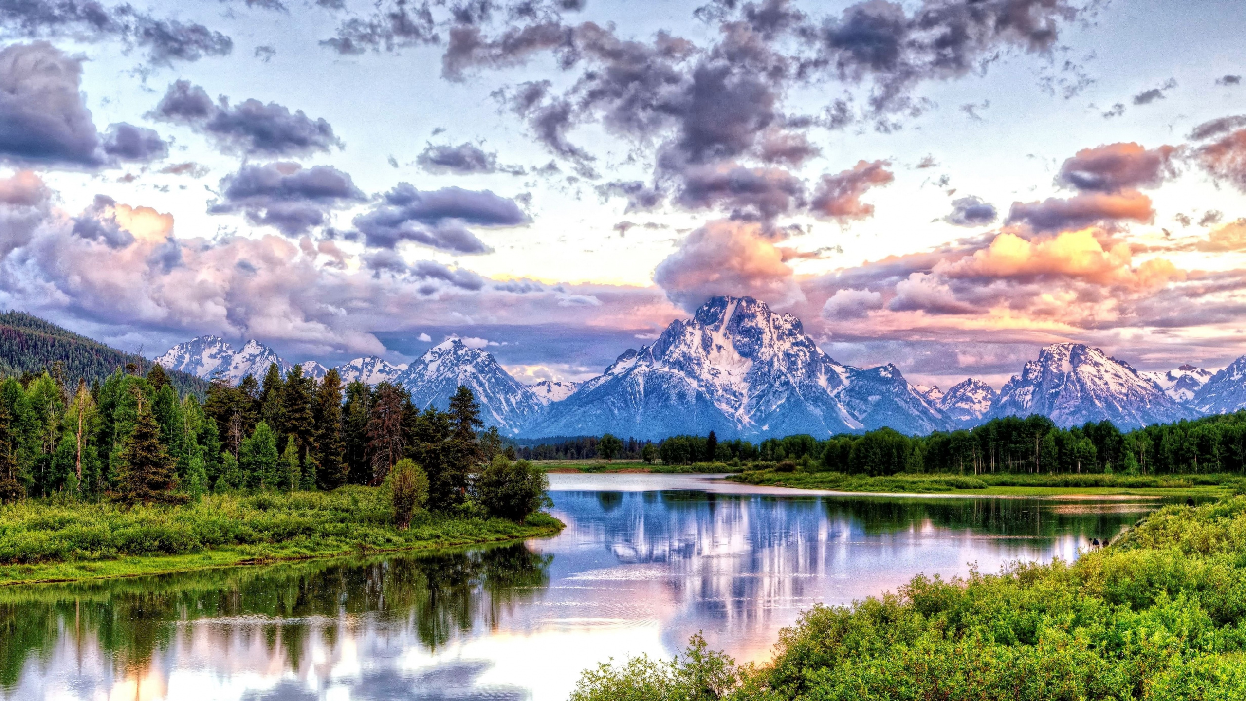 Arbres Verts Près du Lac Sous un Ciel Nuageux Pendant la Journée. Wallpaper in 2560x1440 Resolution