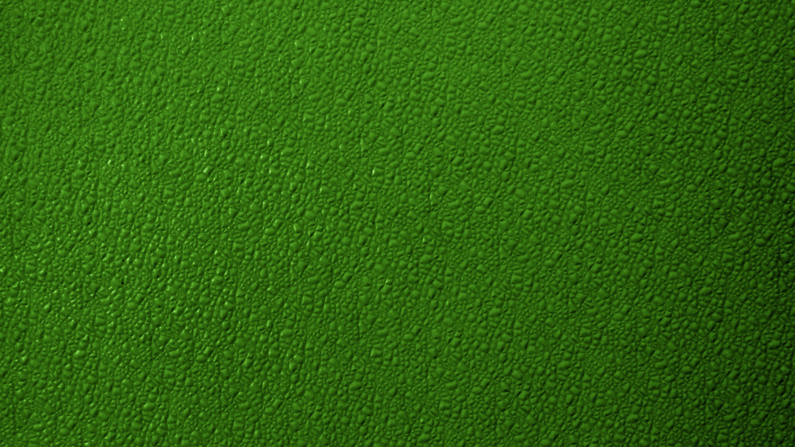 Textil Verde en Fotografía de Cerca. Wallpaper in 2560x1440 Resolution