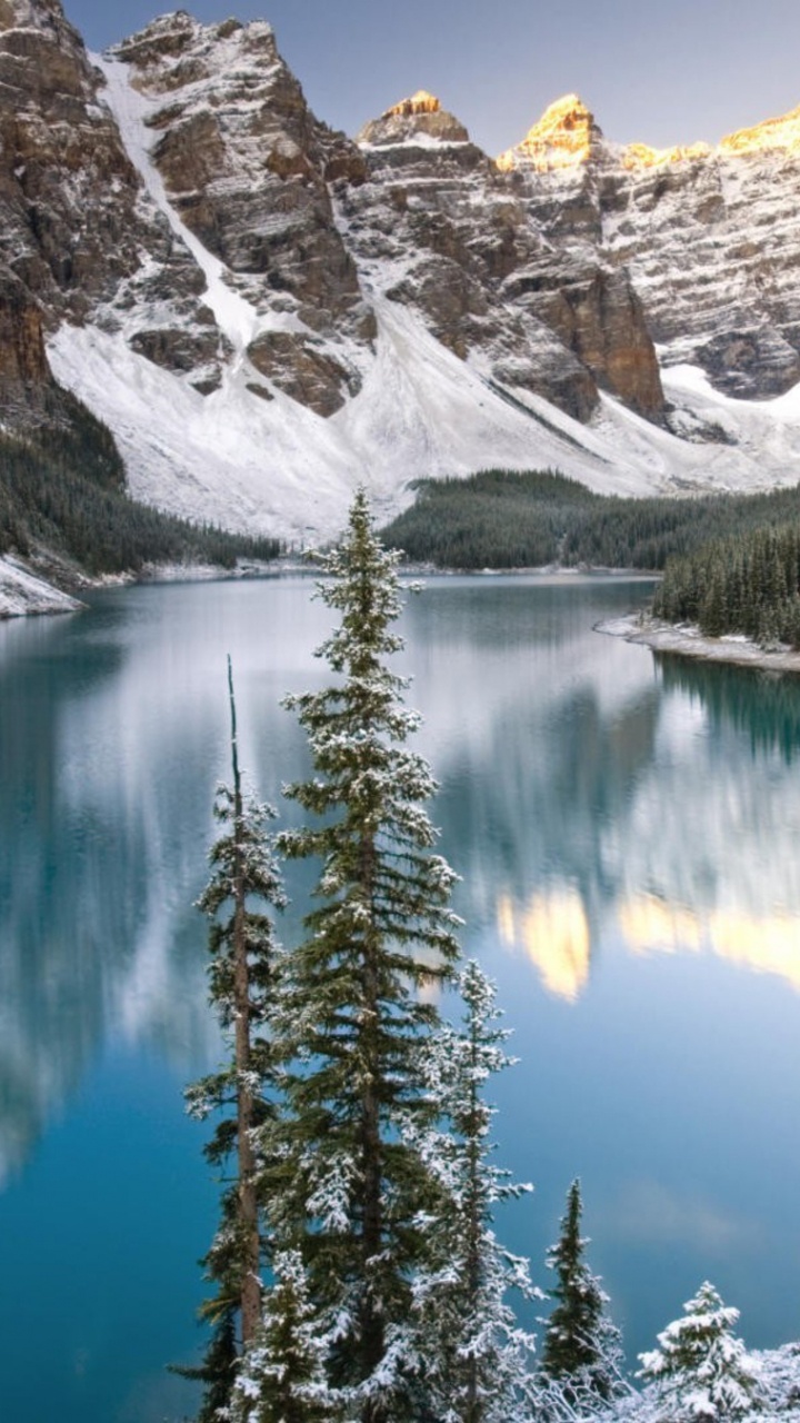 Pins Verts Près du Lac et de la Montagne Couverte de Neige Pendant la Journée. Wallpaper in 720x1280 Resolution