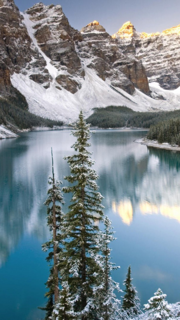 Pins Verts Près du Lac et de la Montagne Couverte de Neige Pendant la Journée. Wallpaper in 750x1334 Resolution