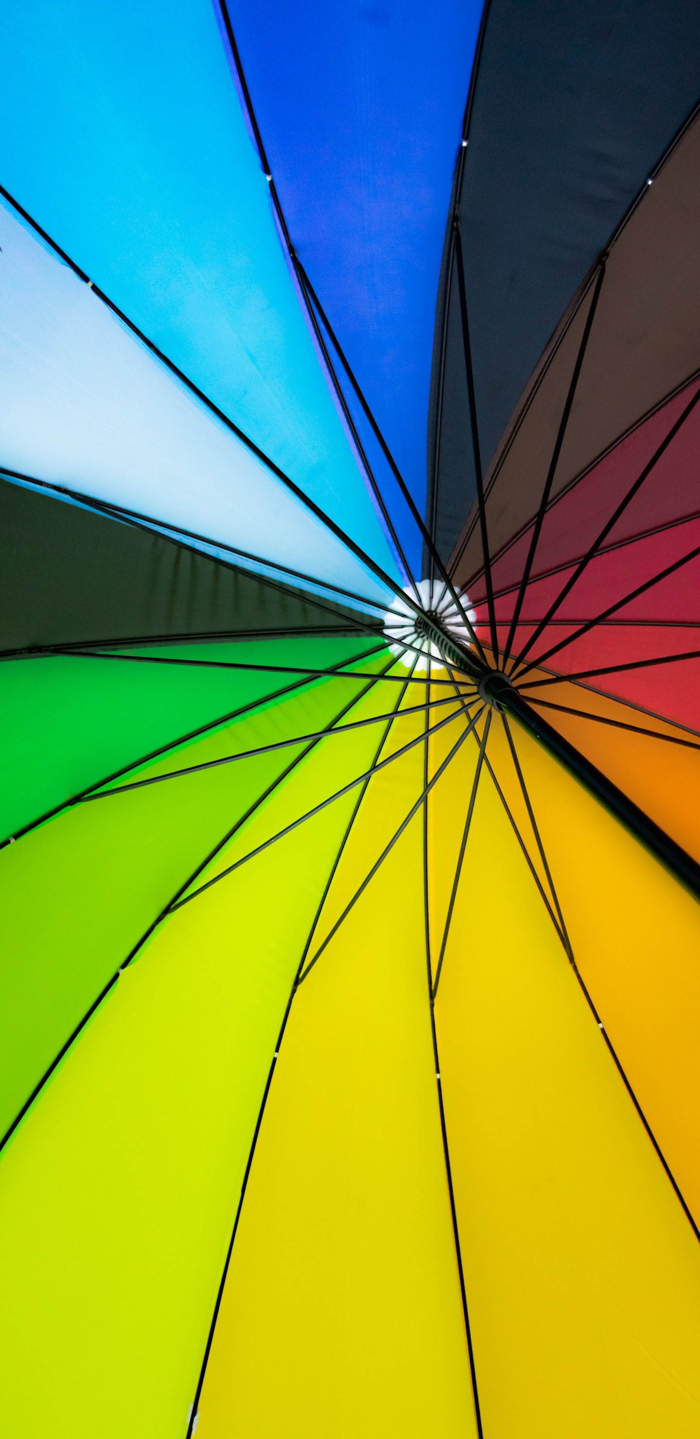 Yellow Green and Purple Umbrella. Wallpaper in 1440x2960 Resolution