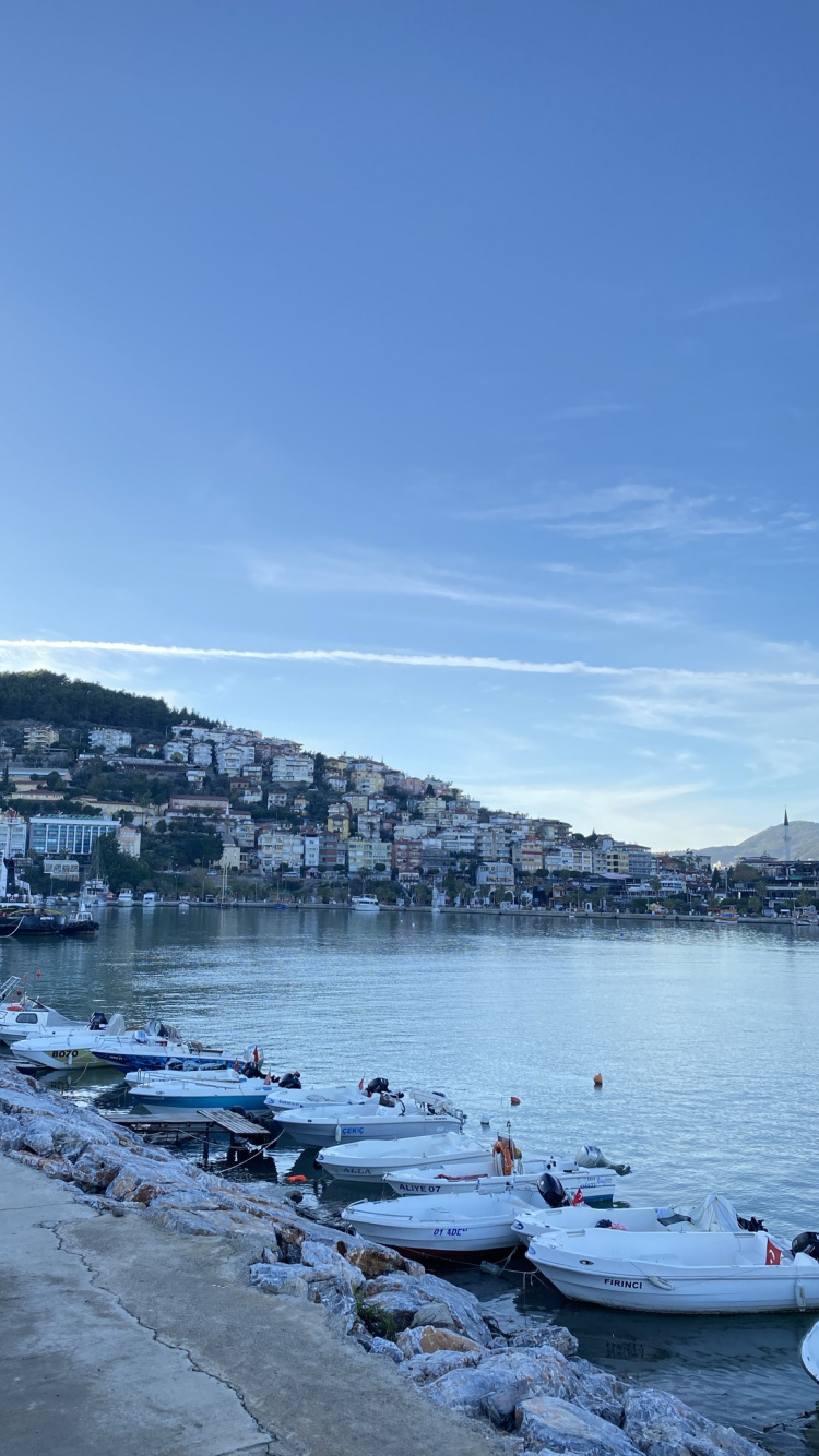 船只, 水道, 银行 壁纸 750x1334 允许