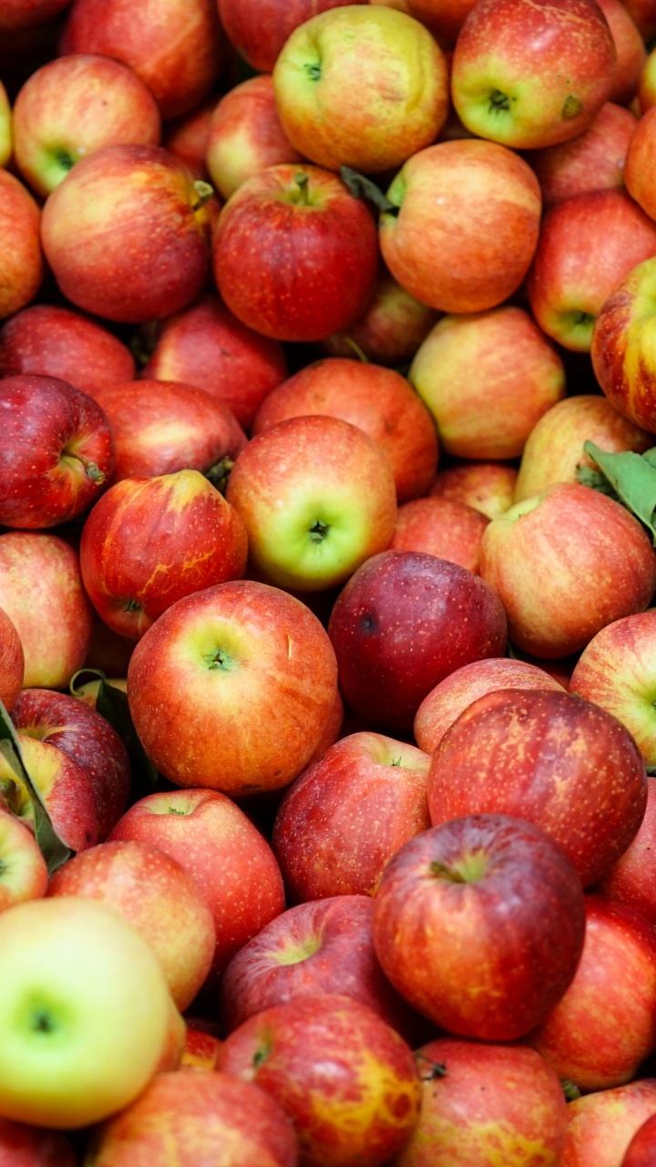 Apple, Fruits, Aliment, Green, Les Aliments Naturels. Wallpaper in 720x1280 Resolution